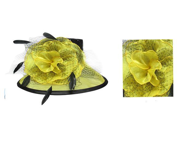 服裝鞋帽箱包,鐘表眼鏡 服飾 帽子 帽子批發 帽子工廠 歐美風柯根紗面